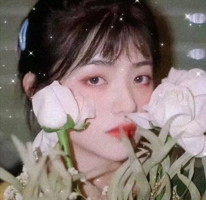 金式森林